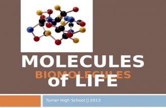 BIOMOLECULES Turner High School  2013. Atoms (Elements) Needed for Life to Survive  C – carbon  H – hydrogen  N – nitrogen  O – oxygen  P – phosphorus.