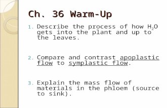 Ch. 36 Warm-Up 1. Describe the process of how H 2 O gets into the plant and up to the leaves. 2. Compare and contrast apoplastic flow to symplastic flow.