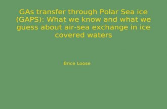 GAs transfer through Polar Sea ice (GAPS): What we know and what we guess about air-sea exchange in ice covered waters Brice Loose.