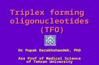Triplex forming oligonucleotides (TFO) Dr Pupak Derakhshandeh, PhD Ass Prof of Medical Science of Tehran University.