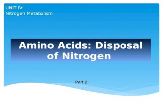 Amino Acids: Disposal of Nitrogen UNIT IV: Nitrogen Metabolism Part 2.