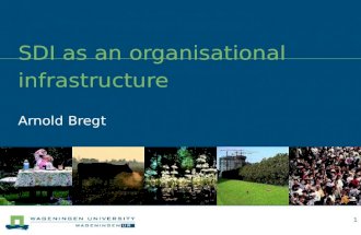 Arnold Bregt SDI as an organisational infrastructure 0.