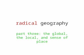 Radical geography part three: the global, the local, and sense of place.