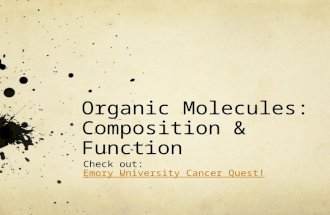 Organic Molecules: Composition & Function Check out: Emory University Cancer Quest!Emory University Cancer Quest!