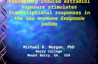 Laboratory induced estradiol exposure stimulates transcriptional responses in the sea anemone Exaiptasia pallida Michael B. Morgan, PhD Berry College Mount.
