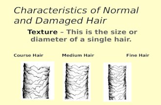 Characteristics of Normal and Damaged Hair Texture – This is the size or diameter of a single hair. Course Hair Medium Hair Fine Hair.