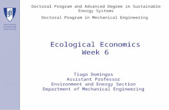 Ecological Economics Week 6 Tiago Domingos Assistant Professor Environment and Energy Section Department of Mechanical Engineering Doctoral Program and.