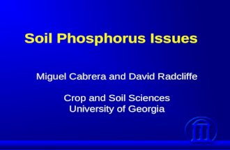 Soil Phosphorus Issues Miguel Cabrera and David Radcliffe Crop and Soil Sciences University of Georgia.