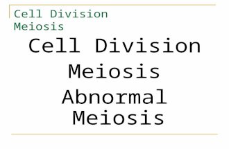 Cell Division Meiosis Cell Division Meiosis Abnormal Meiosis.