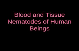 Blood and Tissue Nematodes of Human Beings. FILARIAL PARASITES OF HUMAN BEINGS.
