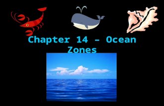 Chapter 14 – Ocean Zones. Exploring the Ocean Because of the darkness, cold, and extreme pressure, scientists have had to develop new technology to enable.