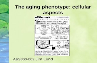 The aging phenotype: cellular aspects A&S300-002 Jim Lund.