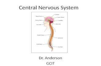 Central Nervous System Dr. Anderson GCIT. Animal Body Plans.
