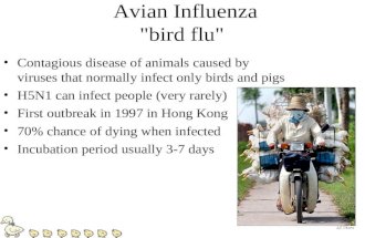 Avian Influenza "bird flu" Contagious disease of animals caused by viruses that normally infect only birds and pigs H5N1 can infect people (very rarely)