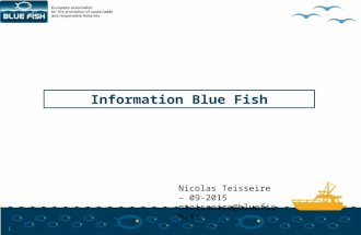 Information Blue Fish 1 Nicolas Teisseire – 09-2015 nteisseire@bluefish.fr.