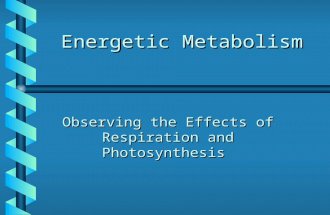 Energetic Metabolism Observing the Effects of Respiration and Photosynthesis.