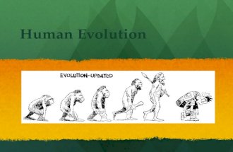 Human Evolution. Evolution of Homer I.Background Info A. A. Primates 1. 1. Evolved ~65 million years ago 2. 2. Current members include lemurs, lorises,
