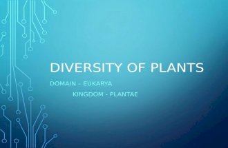 DIVERSITY OF PLANTS DOMAIN – EUKARYA KINGDOM - PLANTAE.