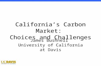 Econ 100 1 Winter 2012: Professor Bushnell California’s Carbon Market: Choices and Challenges James Bushnell University of California at Davis.