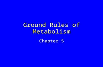 Ground Rules of Metabolism Chapter 5. Growing Old with Molecular Mayhem Free radical A molecule that has unpaired electrons Highly reactive, can disrupt.