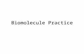 Biomolecule Practice. Write the names of the biomolecules on your white board Share your answer with the class when the instructor calls for your responses.