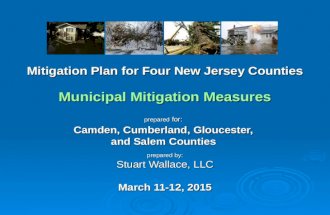 Mitigation Plan for Four New Jersey Counties Municipal Mitigation Measures prepared for: Camden, Cumberland, Gloucester, and Salem Counties prepared by:
