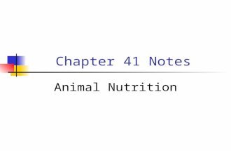 Chapter 41 Notes Animal Nutrition. Nutritional Requirements The flow of energy into and out of an animal can be viewed as a “budget” - most of the energy.