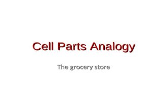 Cell Parts Analogy The grocery store. The Cell Membrane The Cell Membrane The cell membrane and the walls of the grocery store building are the same thing.