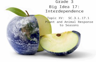 Grade 3 Big Idea 17: Interdependence Topic XV: SC.3.L.17.1 Plant and Animal Response to Seasons.