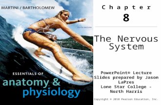Copyright © 2010 Pearson Education, Inc. C h a p t e r 8 The Nervous System PowerPoint® Lecture Slides prepared by Jason LaPres Lone Star College - North.