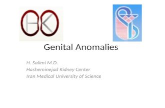 Genital Anomalies H. Salimi M.D. Hasheminejad Kidney Center Iran Medical University of Science.