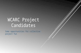 WCARC Project Candidates Some opportunities for collective project fun.