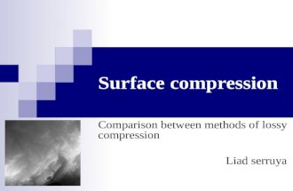 Surface compression Comparison between methods of lossy compression Liad serruya.