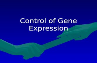 Control of Gene Expression. Steps of gene expression Transcription – DNA is read to make a mRNA in the nucleus of our cells Transcription – DNA is read.