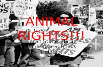 ANIMAL RIGHTS!!! Sarah Stone, Harlie Holding, and Hailey Holding.