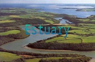 What is an Estuary? An Estuary is a partially enclosed body of water formed by freshwater mixing with saltwater Estuaries and the land surrounding them.