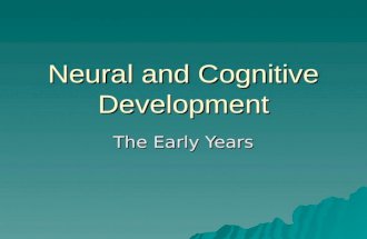Neural and Cognitive Development The Early Years.