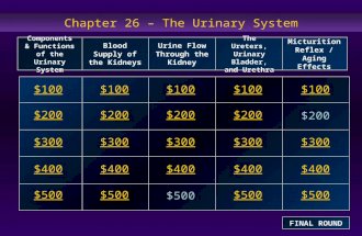 Chapter 26 – The Urinary System $100 $200 $300 $400 $500 $100$100$100 $200 $300 $400 $500 Components & Functions of the Urinary System Blood Supply of.