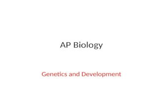 AP Biology Genetics and Development. Important concepts from previous units: Genes are segments of DNA that are the “blueprints” for making proteins and.