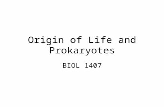 Origin of Life and Prokaryotes BIOL 1407. Early Earth 4.6 billion years ago (bya) Early atmosphere: –No free oxygen –Primarily nitrogen and carbon dioxide.