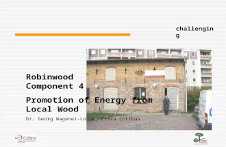 Robinwood Component 4 Promotion of Energy from Local Wood Dr. Georg Wagener-Lohse, CEBra Cottbus challenging.