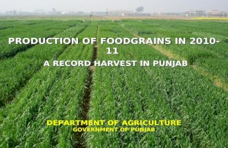 PRODUCTION OF FOODGRAINS IN 2010-11 A RECORD HARVEST IN PUNJAB A RECORD HARVEST IN PUNJAB DEPARTMENT OF AGRICULTURE GOVERNMENT OF PUNJAB.