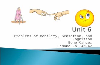 Problems of Mobility, Sensation, and Cognition Bone Cancer LeMone Ch. 40-42.