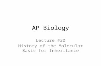 AP Biology Lecture #30 History of the Molecular Basis for Inheritance.