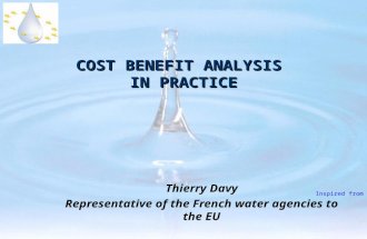 COST BENEFIT ANALYSIS IN PRACTICE Thierry Davy Representative of the French water agencies to the EU Inspired from.