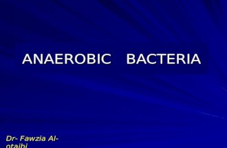ANAEROBIC BACTERIA Dr- Fawzia Al-otaibi. DEFENITION A MICRBE THAT CAN ONLY GROW UNDER ANAROBIC CONDITION SENSETIVE TO metronidazole (MTZ) metronidazole.