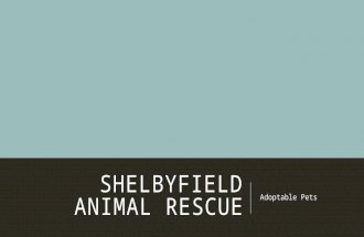 SHELBYFIELD ANIMAL RESCUE Adoptable Pets. MISSION …to rescue, rehabilitate, and re-home stray or unwanted pets. Shelbyfield Animal Rescue dedicated to.