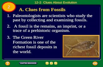 A. Clues from Fossils 1.Paleontologists are scientists who study the past by collecting and examining fossils. 2. A fossil is the remains, an imprint,