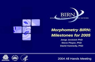 2004 All Hands Meeting Morphometry BIRN: Milestones for 2005 Jorge Jovicich PhD Steve Pieper, PhD David Kennedy, PhD.