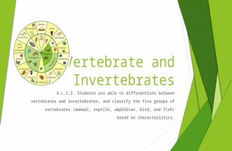 Vertebrate and Invertebrates 4.L.1.2. Students are able to differentiate between vertebrates and invertebrates, and classify the five groups of vertebrates.